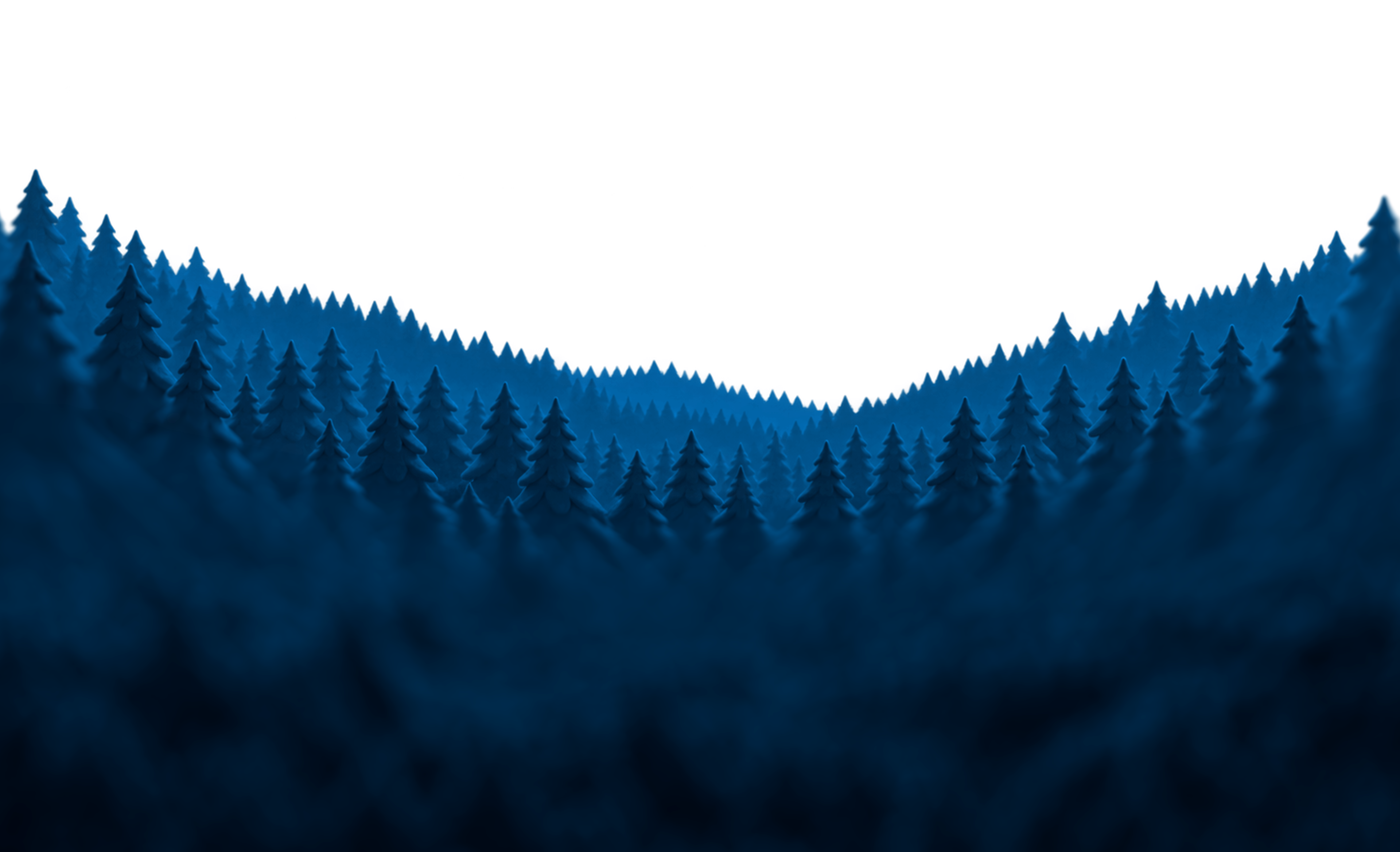 Bosque de pinos azules